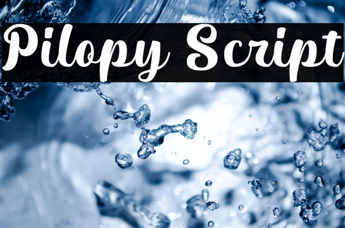 Pilopy Script Example 3