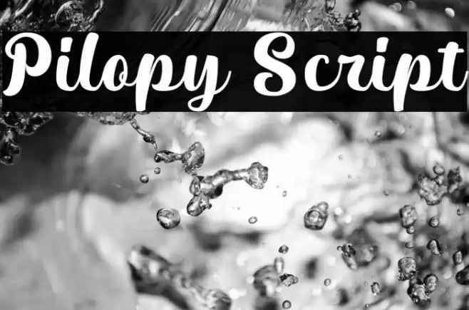 Pilopy Script Font examples