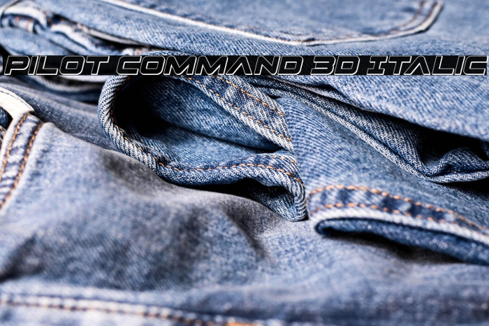 Pilot Command 3D Italic Example 1