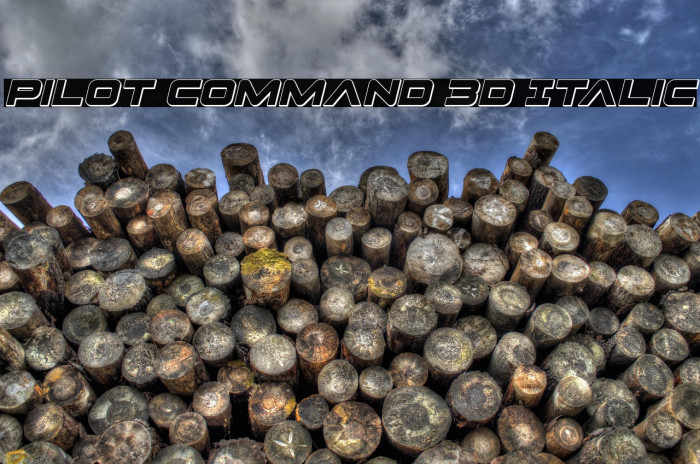 Pilot Command 3D Italic Example 2