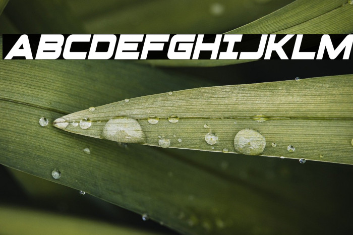 Pilot Command Condensed Italic Example 2