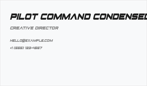 Pilot Command Condensed Italic Business Card