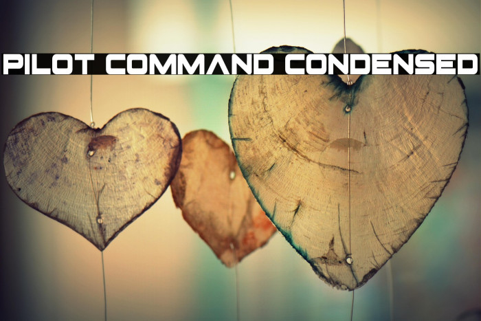 Pilot Command Condensed Example 1