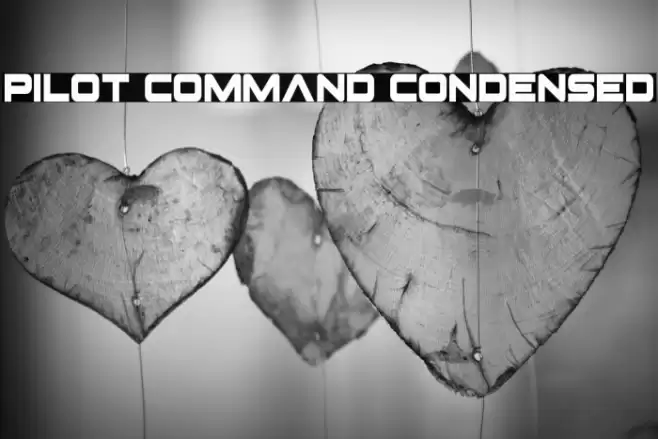 Pilot Command Condensed Font examples