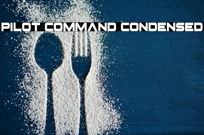 Pilot Command Condensed Example 3