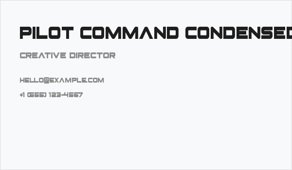 Pilot Command Condensed Business Card