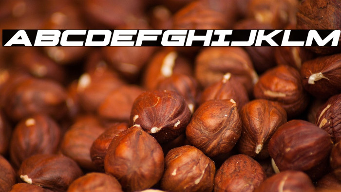 Pilot Command Expanded Italic Example 2