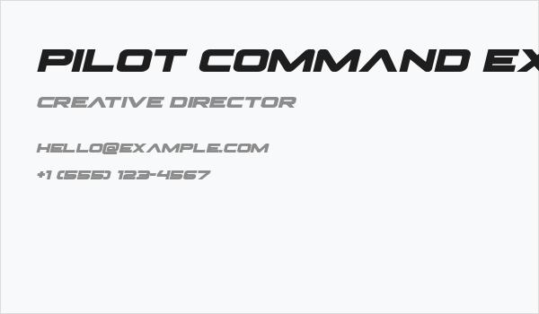 Pilot Command Expanded Italic Business Card