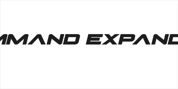 Pilot Command Expanded Italic Logo