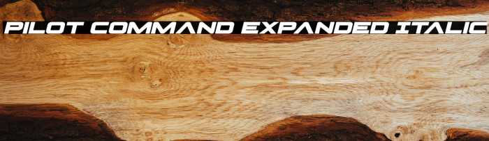 Pilot Command Expanded Italic Example 1