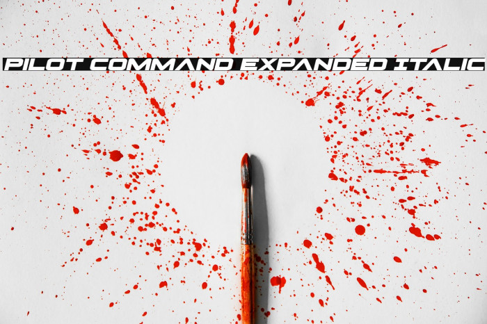 Pilot Command Expanded Italic Example 3