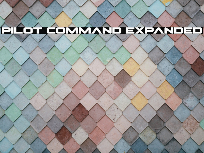 Pilot Command Expanded Example 1