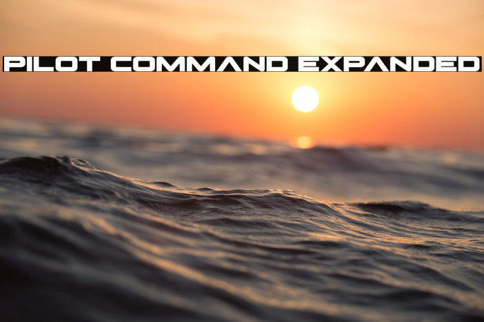 Pilot Command Expanded Example 2