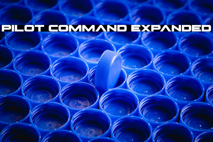 Pilot Command Expanded Example 3