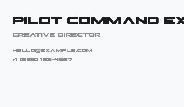 Pilot Command Expanded Business Card