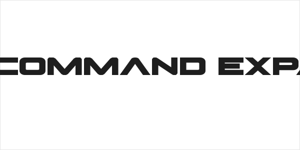 Pilot Command Expanded Logo