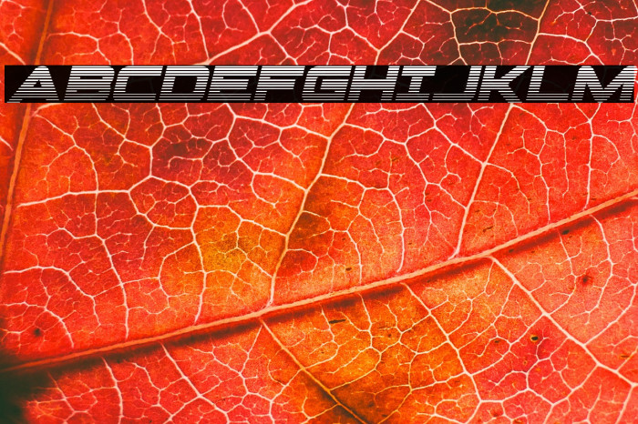 Pilot Command Gradient 2 Ital Example 3