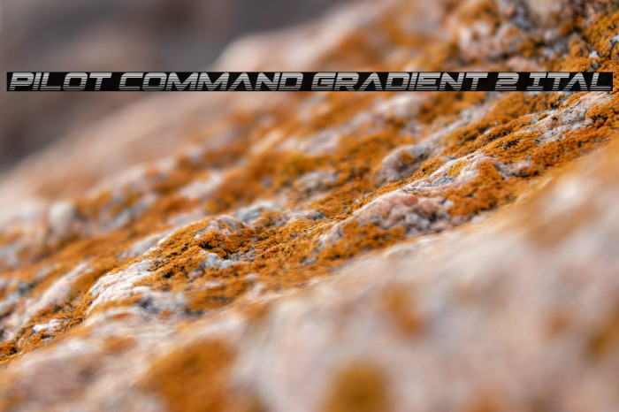 Pilot Command Gradient 2 Ital Example 1