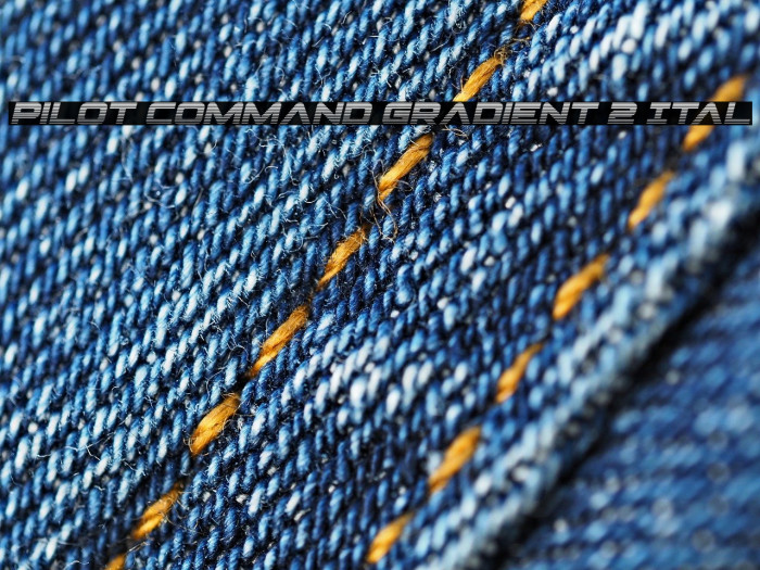 Pilot Command Gradient 2 Ital Example 3