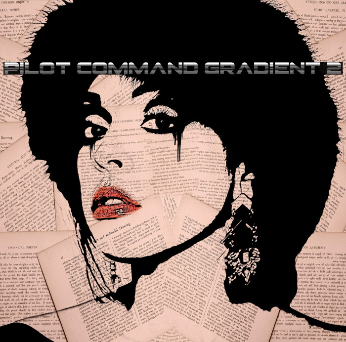 Pilot Command Gradient 2 Example 2