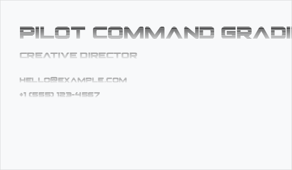 Pilot Command Gradient 2 Business Card