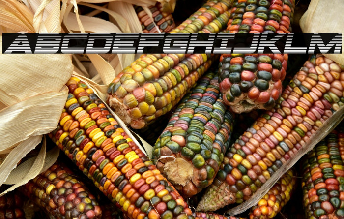 Pilot Command Gradient Italic Example 1