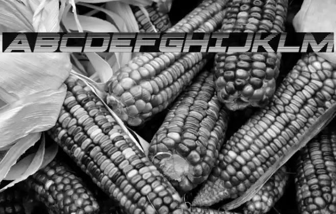 Pilot Command Gradient Italic Font examples