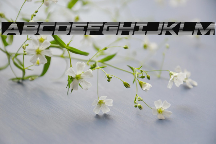 Pilot Command Gradient Italic Example 3