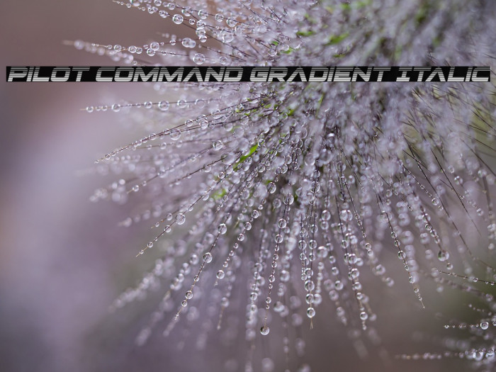 Pilot Command Gradient Italic Example 1