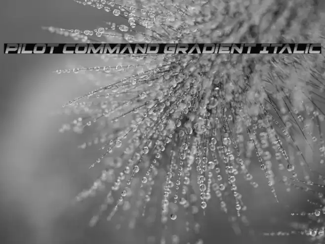 Pilot Command Gradient Italic Font examples