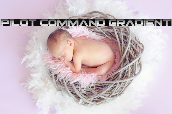 Pilot Command Gradient Example 1