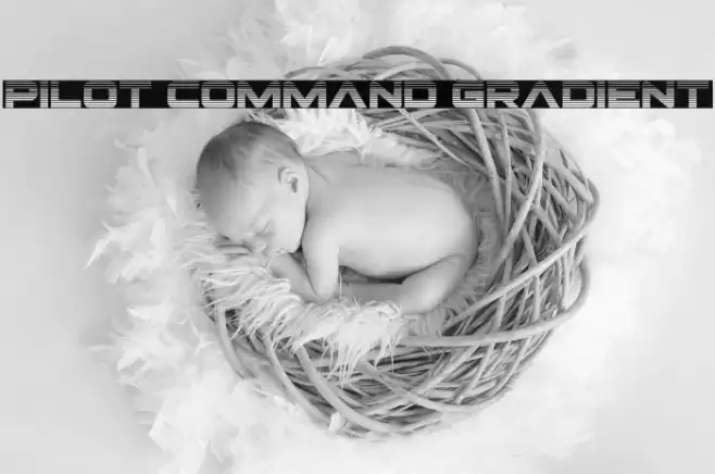 Pilot Command Gradient Font examples