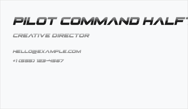 Pilot Command Halftone Italic Business Card