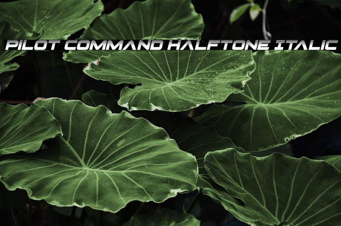 Pilot Command Halftone Italic Example 1