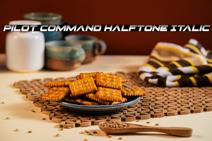 Pilot Command Halftone Italic Example 3