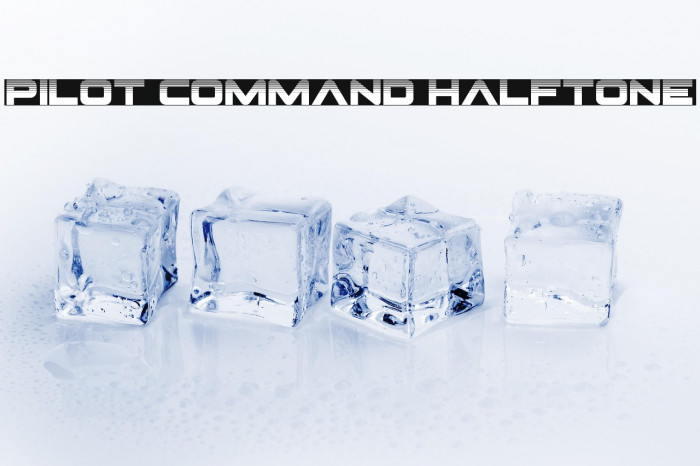 Pilot Command Halftone Example 2