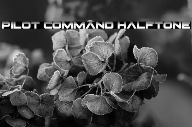 Pilot Command Halftone Font examples