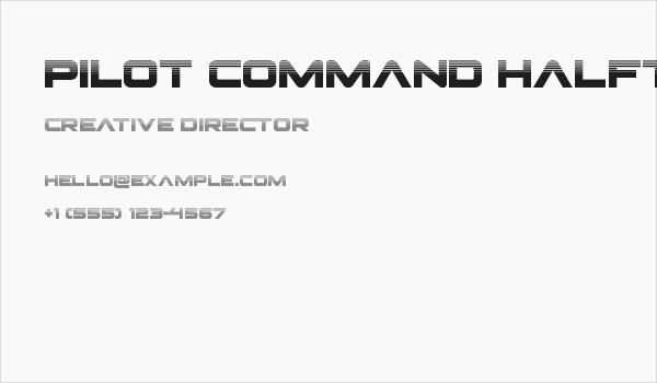 Pilot Command Halftone Business Card