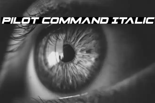 Pilot Command Italic Font examples