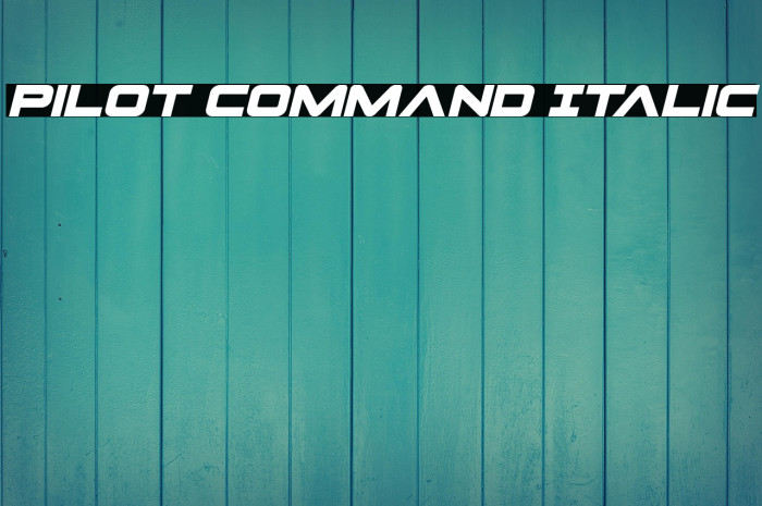 Pilot Command Italic Example 2