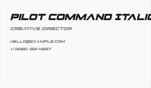 Pilot Command Italic Business Card