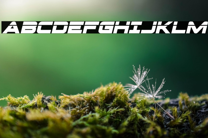 Pilot Command Laser Italic Example 3