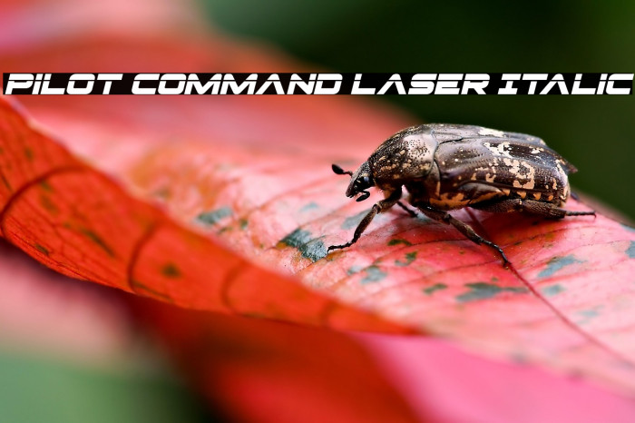Pilot Command Laser Italic Example 3