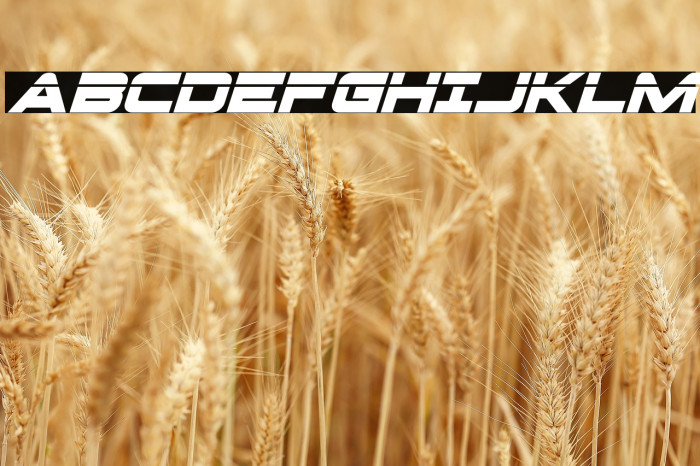 Pilot Command Laser Super-Ital Example 3