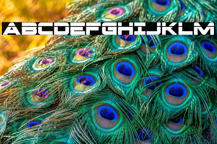 Pilot Command Laser Example 1