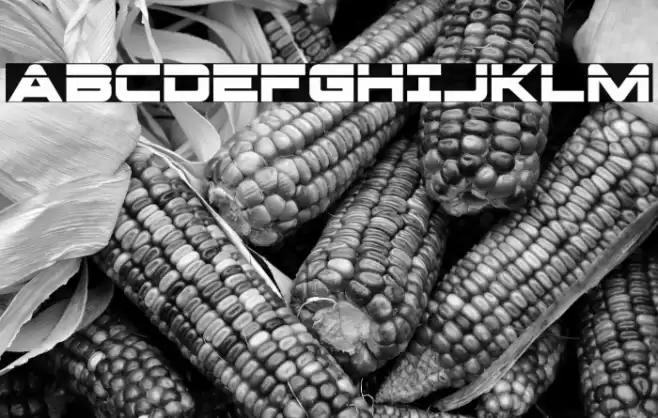 Pilot Command Laser Font examples