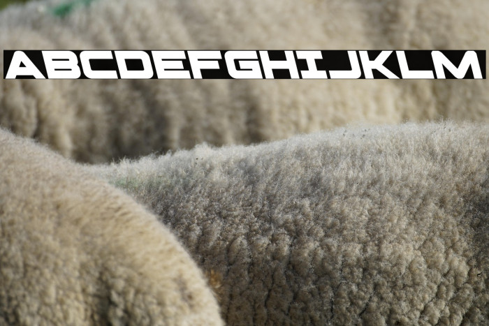 Pilot Command Leftalic Example 1