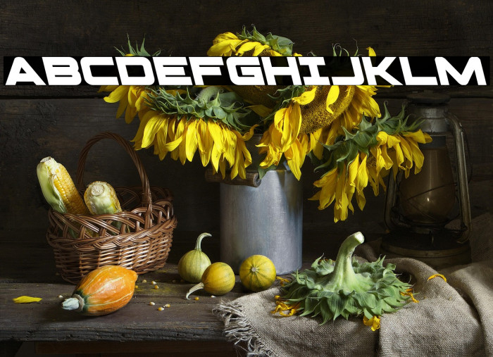 Pilot Command Leftalic Example 2