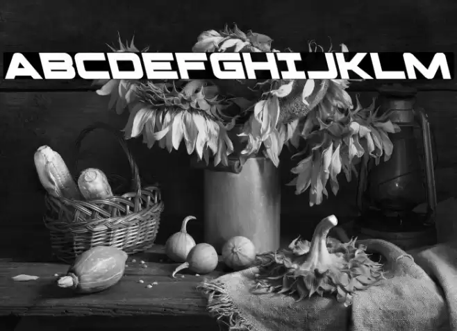 Pilot Command Leftalic Font examples