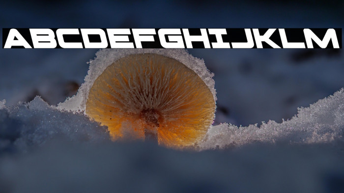 Pilot Command Leftalic Example 3